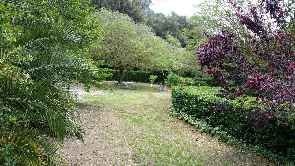 Le Clos Du Loup ラ・コル・シュル・ルー エクステリア 写真