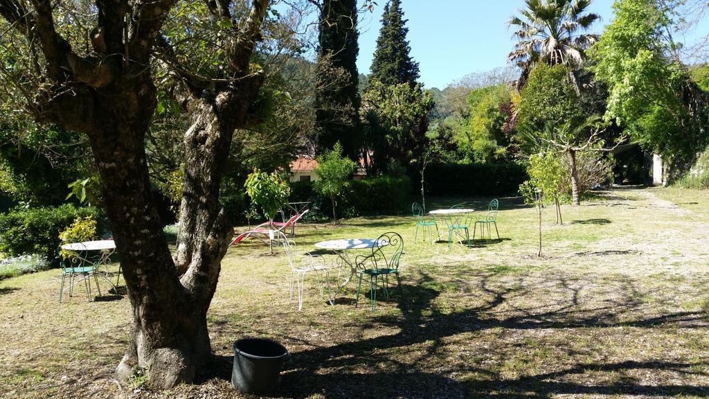 Le Clos Du Loup ラ・コル・シュル・ルー エクステリア 写真